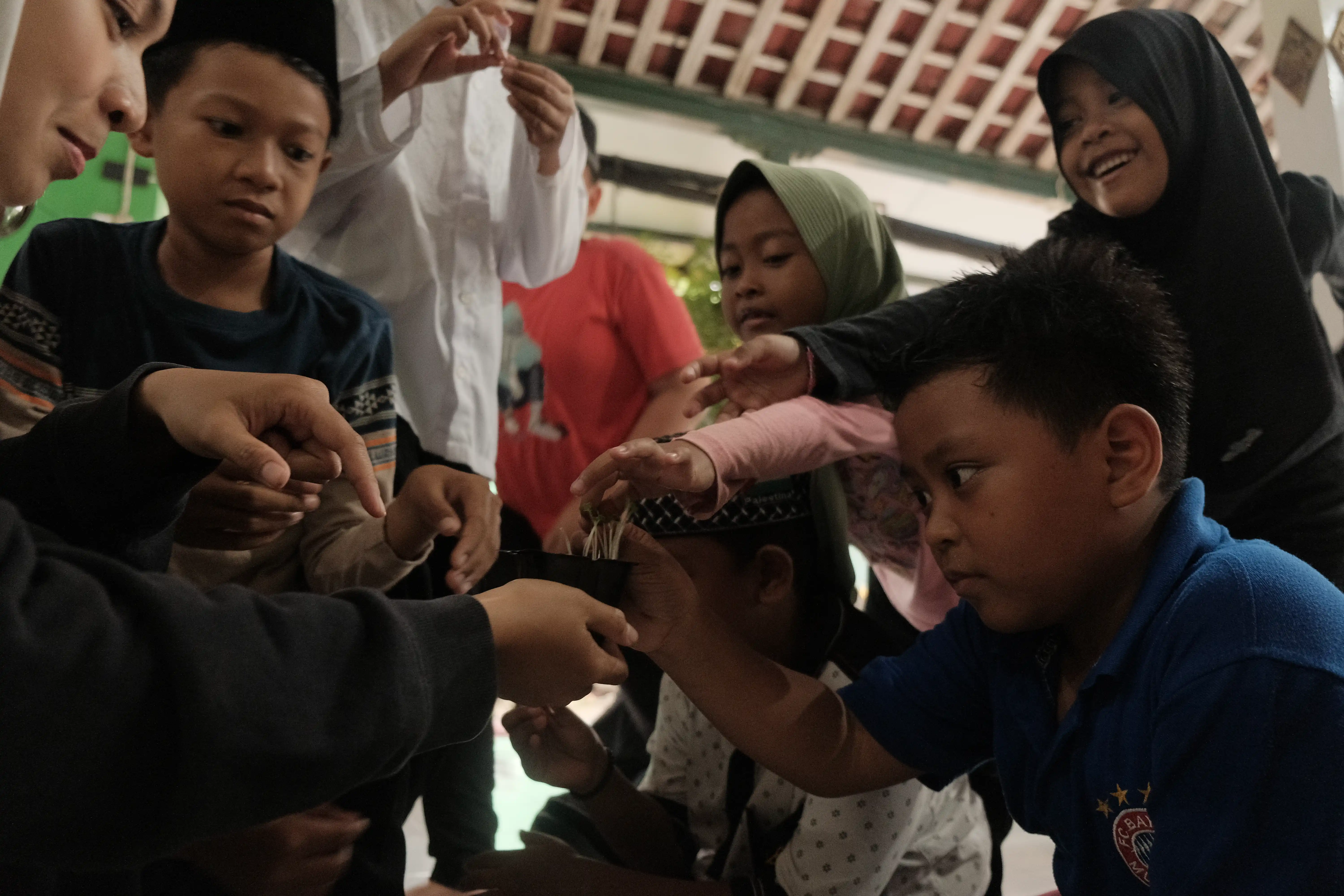 Budidaya Sayuran Microgreen Kelompok Tani (2025)