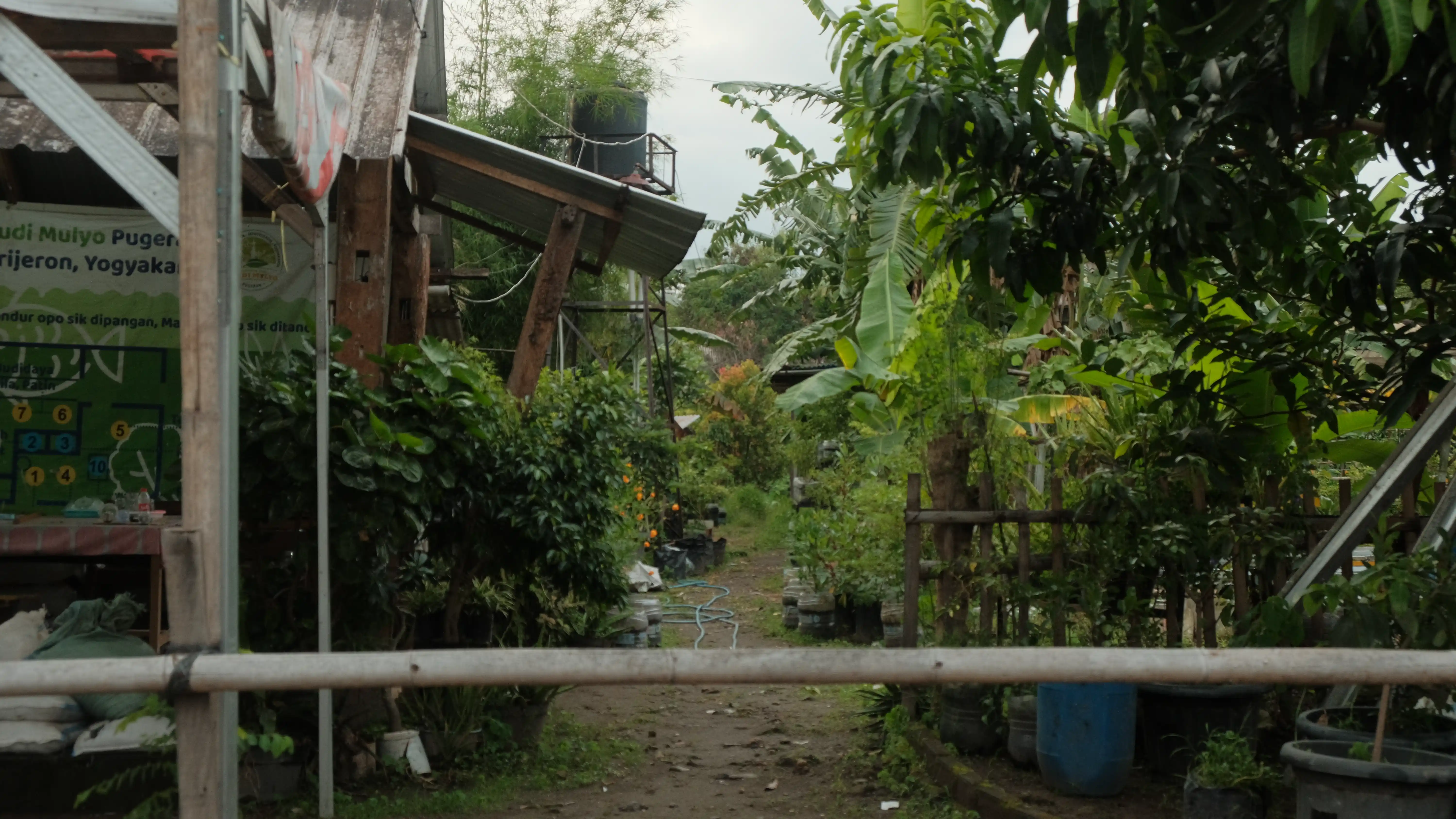 Poktan 2 Kampung Pugeran