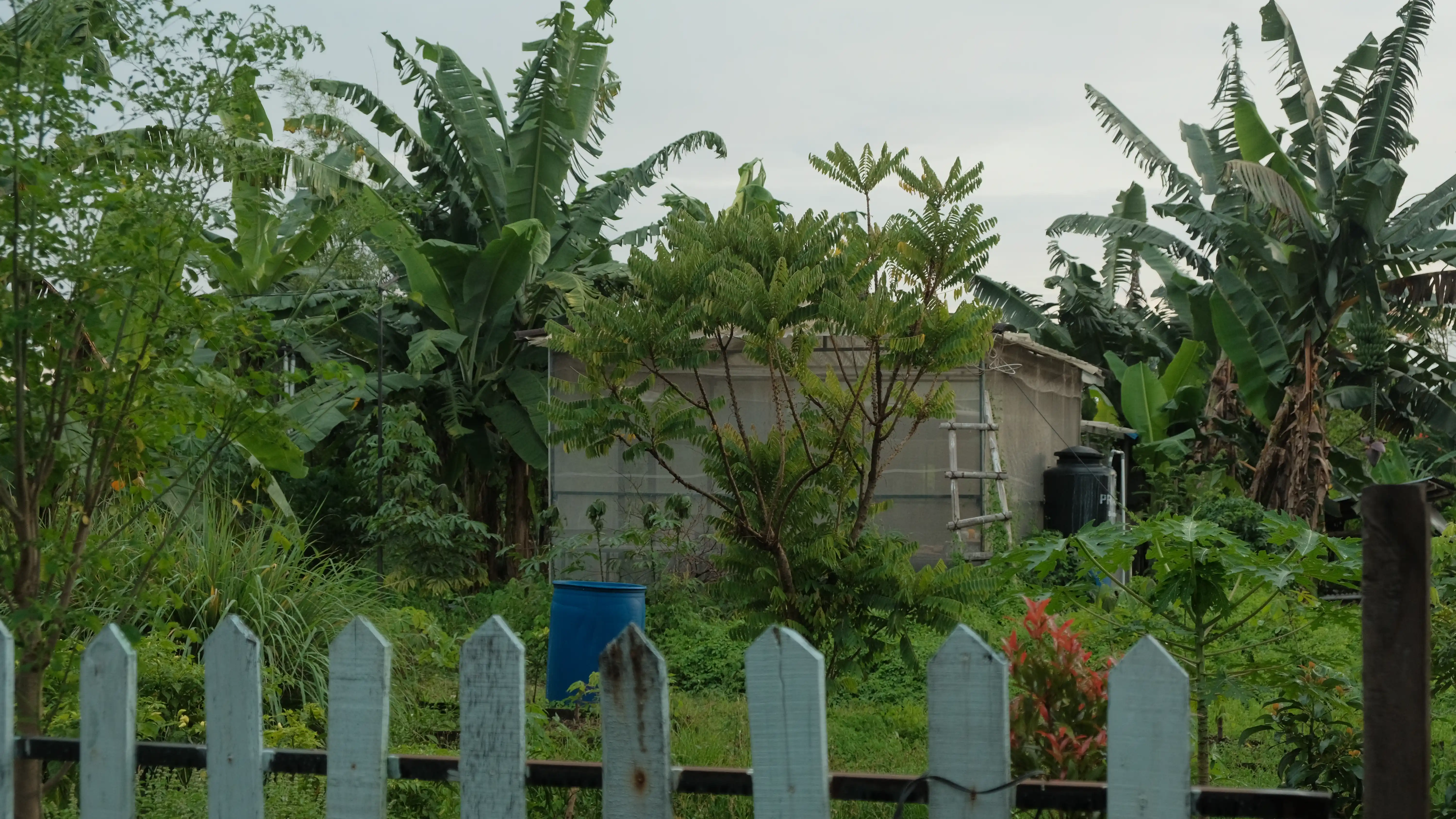Poktan 3 Kampung Pugeran